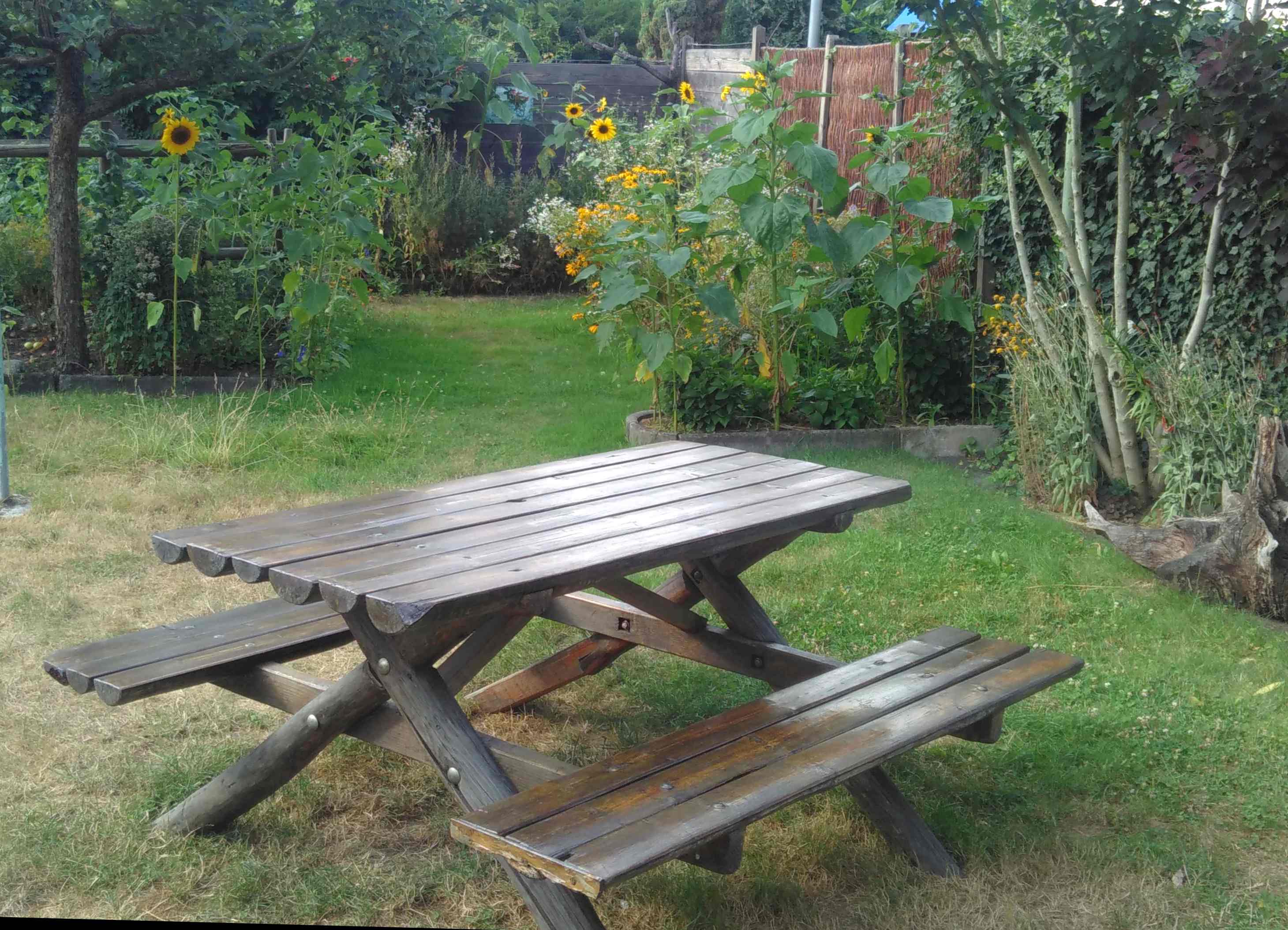 garten2.jpg garten2.jpg