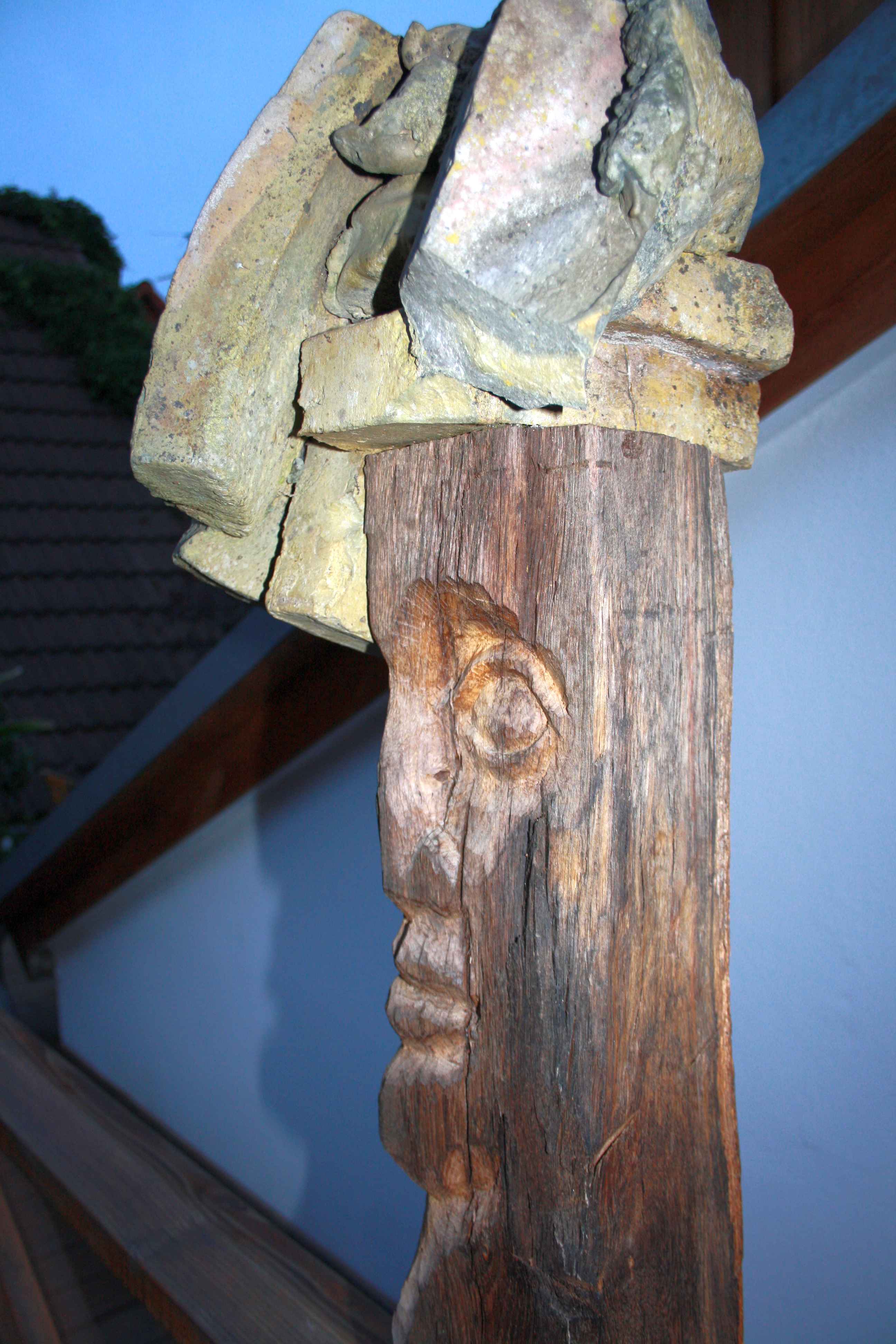 rasta_man.jpg rasta_man.jpg